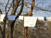 Messages in trees