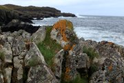 rots aan zee met mos